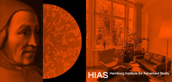 HIAS - CALL FOR APPLICATIONS to outstanding scholars and artists for research and exchange in Hamburg, Germany