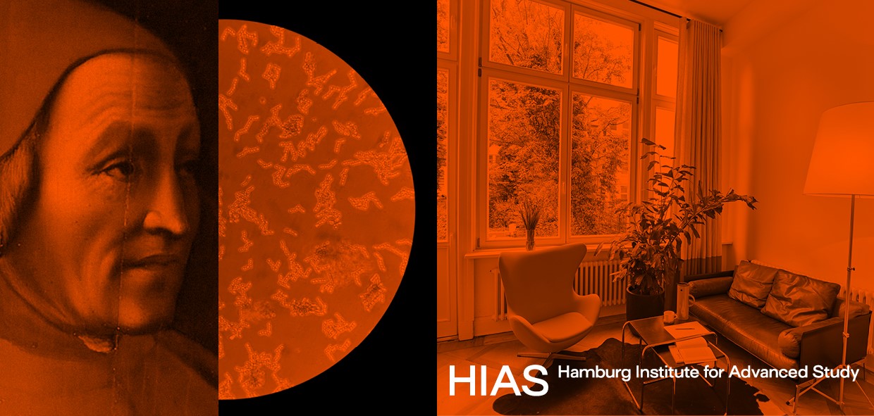 HIAS - CALL FOR APPLICATIONS to outstanding scholars and artists for research and exchange in Hamburg, Germany